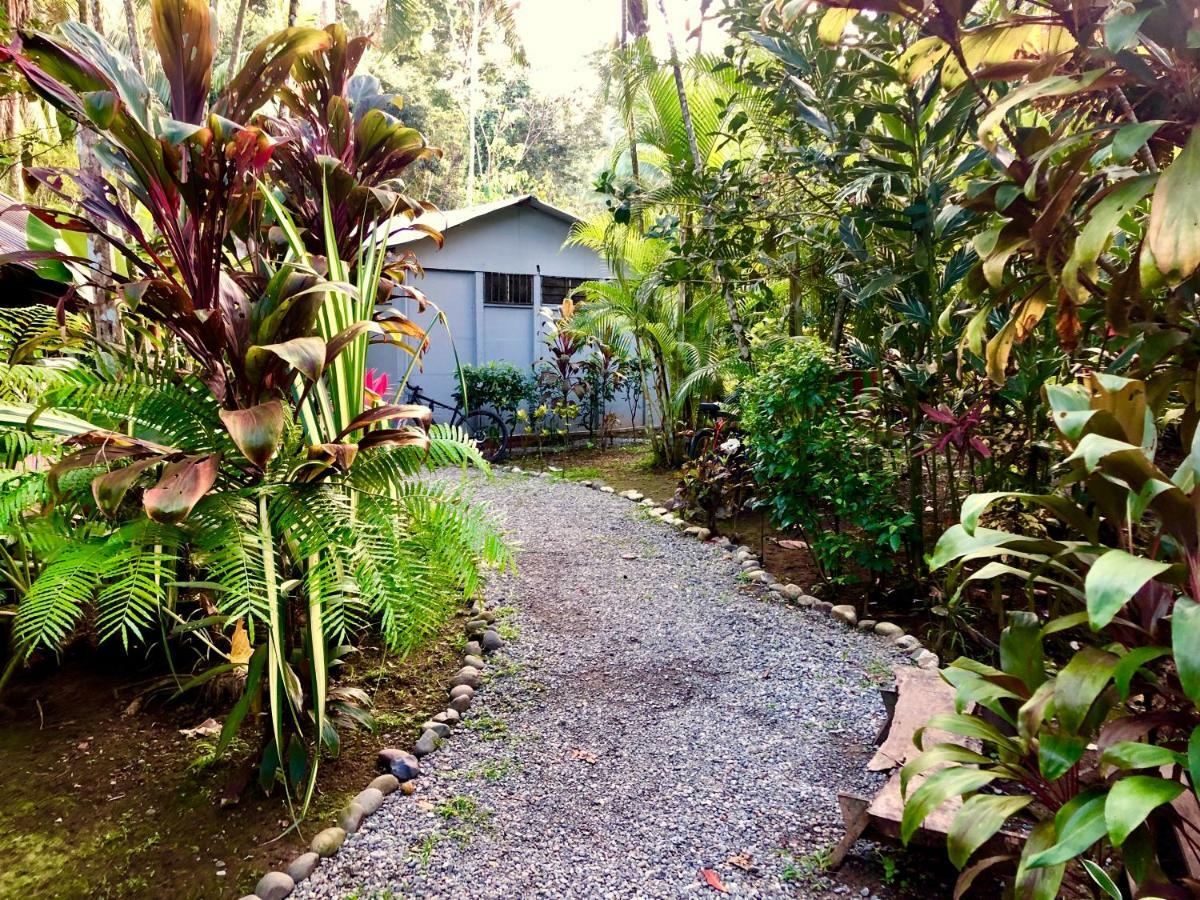 Tasty Dayz Hostel Puerto Viejo de Talamanca Exterior foto